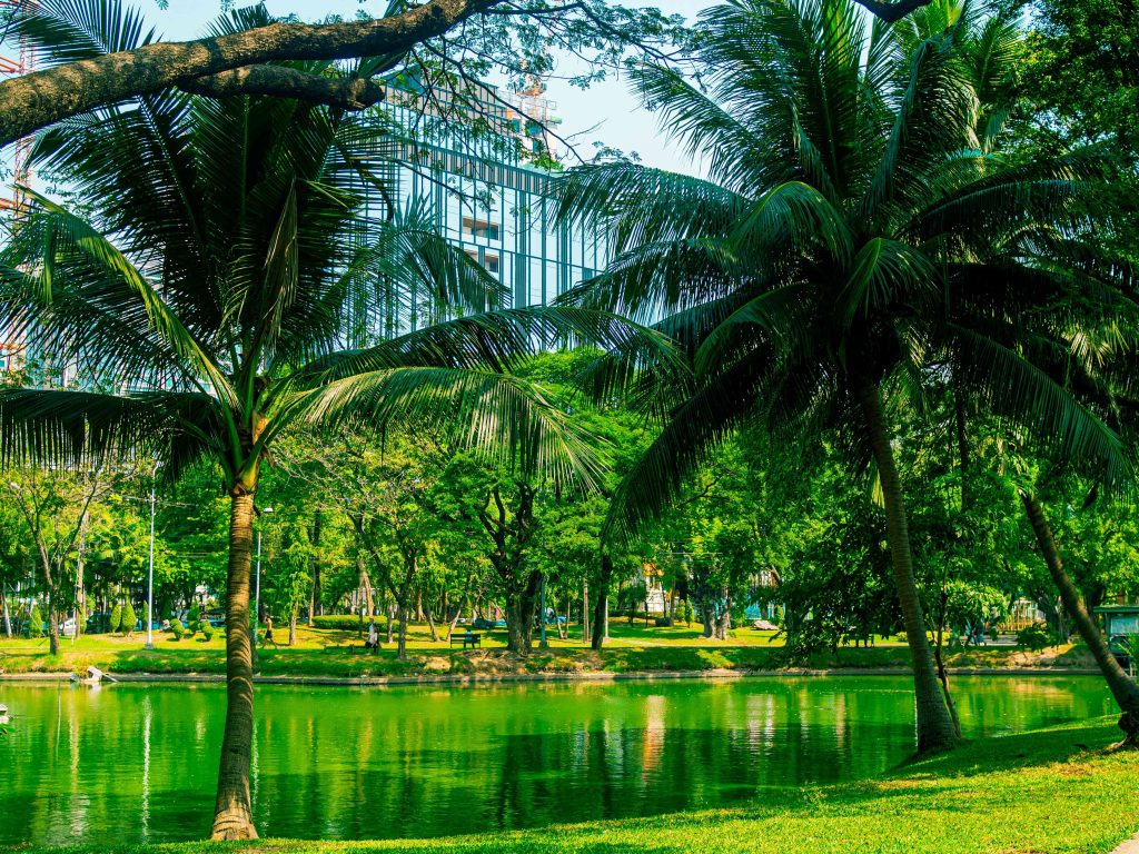 Bangkok Lumphini Park