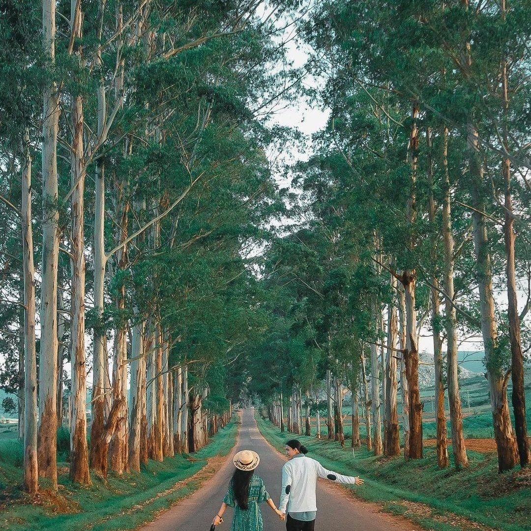 Did you know that Kalaw is also well-known as the trekker's paradise which possess a majestic mountain scenery, heart-touching natural beauty and several fascinating attractions? It is located west of Inle Lake and surrounded by colourful tribe villages, rivers, pine forests, and bamboo groves. 
📸Credit to @travelkueen 
.
.
.
#myanmarburma #myanmartrip #myanmar #beautyofmyanmar #inlelake #fishermen #travelmyanmar #visitmyanmar #shanstate #instasian #myanmarphotos #travelasia #instamyanmar #burmese #lifewelltravelled #exploremore #exploreasia #tlpicks #bbctravel #travellingthroughtheworld #beautifuldestinations #natgeotravel